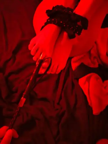 Gemini_pleasures - adult