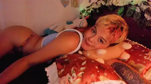 Al3xia Fisher - shorthair